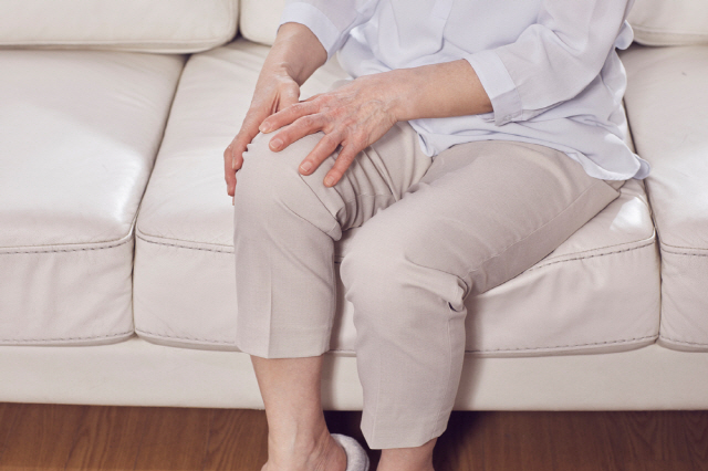 무릎에서 ‘딱’ 소리가 일주일 이상 지속되고 통증이 느껴진다면 연골 손상을 의심할 필요가 있다./사진=클립아트코리아