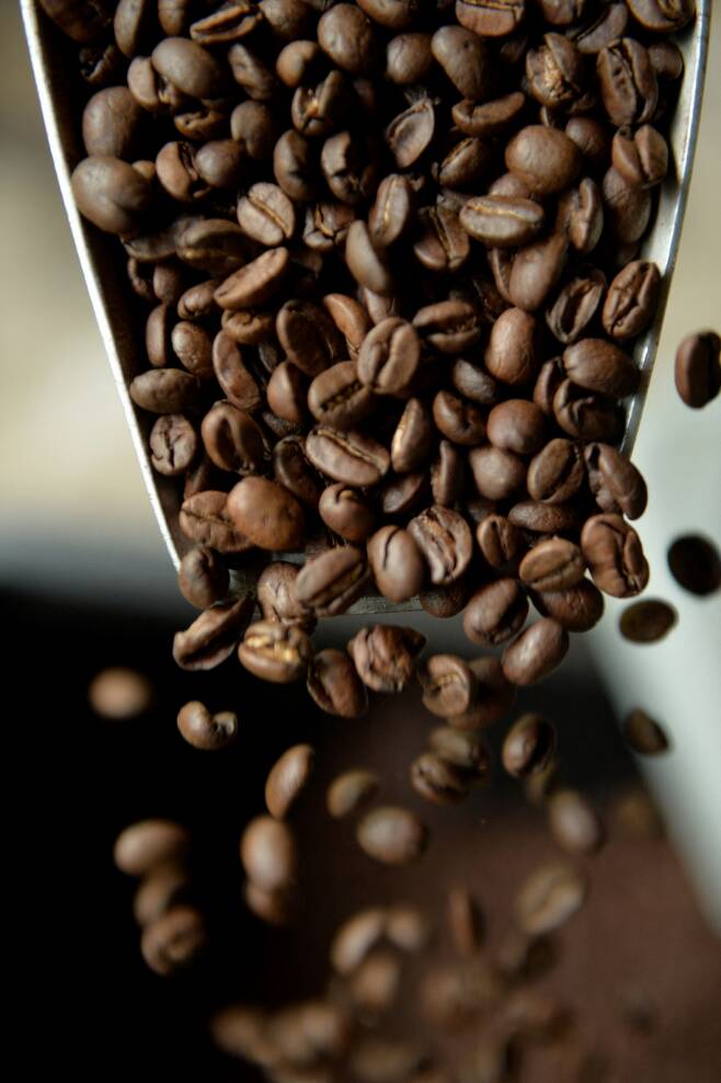 코로나19 팬데믹과 이상 기후 등으로 내년 커피 원두 가격이 오를 것이라는 전망이 나왔다.  /사진=AFP통신