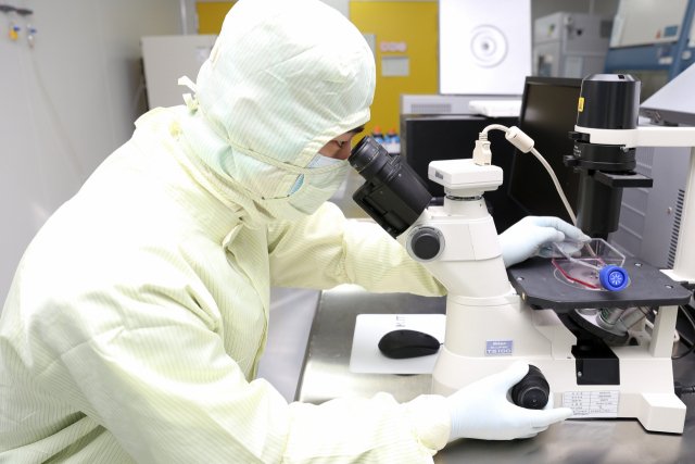 차바이오텍 연구원이 제조실에서 세포치료제를 제조·배양하고 있다./차바이오텍