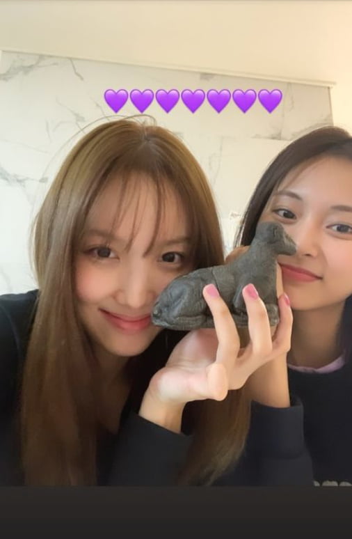 Group TWICE member Nayeon told her daily life.Nayeon posted several photos on the official Instagram on the 23rd, along with an article entitled TZUYUs bread ... is it a dinosaur?!Nayeon in the photo is taking a selfie with a bright smile with TZUYU.Meanwhile, TWICE, which includes Nayeon and TZUYU, will release its first English single The Feels (The Fields) simultaneously around the world on October 1.Photo: TWICE SNS