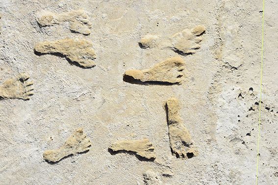 미국 뉴 멕시코주 화이트 샌드 국립공원에서 발굴된 2만3000년 전 발자국 화석. 주로 청소년이나 어린이들의 발자국이었다./미국 본머스대