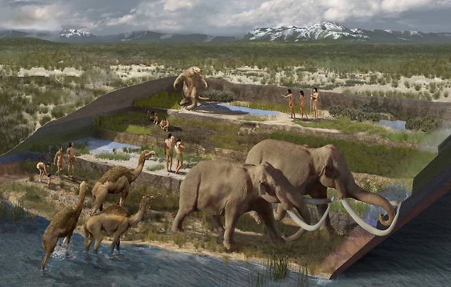 2만3000년 전 발자국 화석이 발굴된 지층에서는 메머드 같은 대형 포유류 화석들도 나왔다. 당시 인류가 이곳에서 사냥을 했을 가능성이 있다고 연구진은 추정했다./미국 본머스대