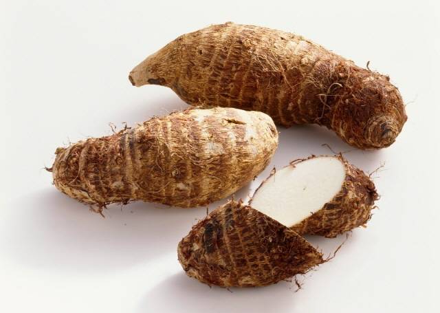 토란의 뮤틴 성분은 소화기관의 점막을 보호한다./사진=클립아트코리아