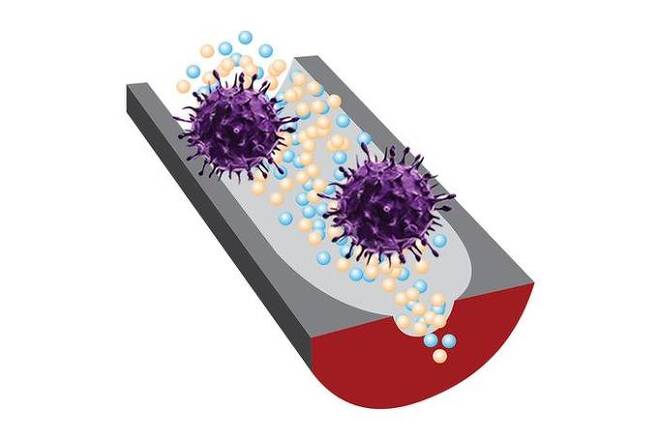 새로운 DNA 센서는 선택성 DNA 조각과 민감한 '나노구멍'(nanopore) 기술을 이용, 전염성이 있는 바이러스와 전염성이 없는 바이러스를 구별한다. Ana Peinetti 제공. 연합뉴스