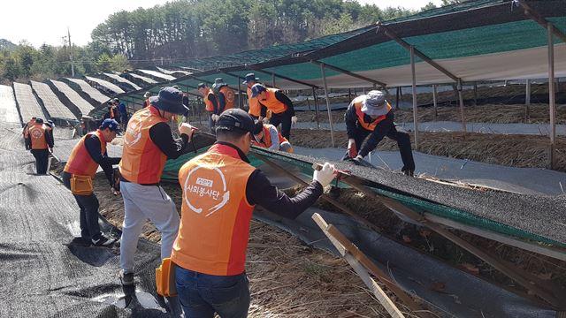 지난 2018년 KGC인삼공사 직원들이 폭설로 피해를 당한 인삼 농가를 찾아가 긴급 복구를 지원하고 있다. KGC인삼공사 제공