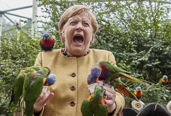 26일(현지시간) 총선 이후 16년에 걸친 총리직의 퇴임을 앞두고 있는 앙겔라 메르켈 독일 총리가 지난 23일(현지시간) 마를로브 새 공원을 찾아 호주산 앵무새들에게 먹이를 주며 즐거워하고 있다. 독일 마를로브/AP·DPA·연합뉴스