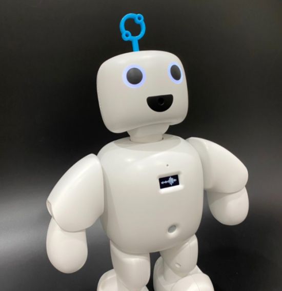 상용화 AI로봇 ‘파이보’