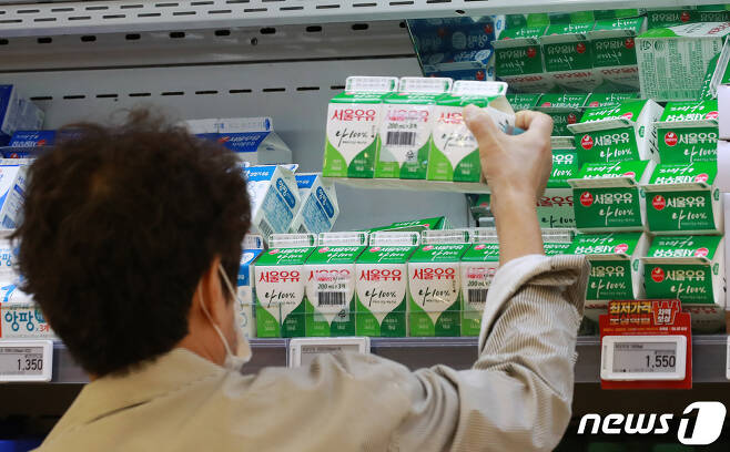 23일 서울의 한 대형마트를 찾은 시민들이 우유를 고르고 있다. 서울우유협동조합은 원유가격 인상분 21원을 반영해 오는 10월 1일 흰 우유 1리터 기준 제품 가격을 5.4% 인상한다고 이날 밝혔다. 이번 가격 인상은 지난 2018년 이후 3년 만이다. 이번 가격인상으로 대형마트에서 판매되는 서울우유 흰 우유 1리터 제품 가격은 2500원 중반에서 2700원 전후로 오를 전망이다. 업계 1위 서울우유가 가격을 인상함에 따라 매일유업, 남양유업 등 유업체 도미노 가격 인상이 현실화 될 것으로 예상된다. 2021.9.23/뉴스1 © News1 구윤성 기자