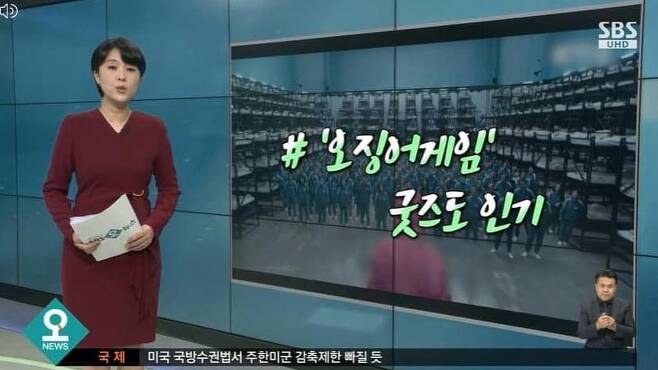 24일 SBS 뉴스 보도 중 한 장면. /SBS