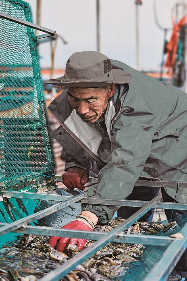 롯데마트는 전남 완도군 전복 양식어가가 출자해 설립한 완도전복주식회사와 손잡고 ASC 전복을 전 점에서 판매할 수 있게 됐다.
