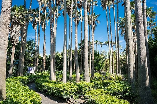 열대식물원. 사진=한림공원