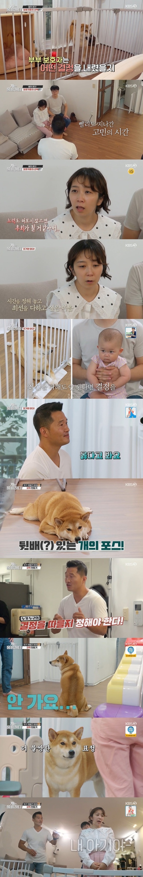 Guardian decides to symbiotic with Shiba Inu who threatens babyOn KBS 2TV Dogs Are Incredible (hereinafter referred to as Gaeulung), which was broadcast on October 11, the second story of Shiba Inu Hata, which reveals a vigilance to the baby, was drawn.The back story of Shiba Inu Hata, who attacked the baby on the day, was drawn.Hata showed strong aggression toward the born baby, and Kang Hyung-wook  trainer said, If you really want to love and protect, you have to look objectively.The most dangerous thing now is the mother Guardians behavior. You have to tell him exactly what you love and love him. Hes a precious child.If you bite the child, you will not be in this world. He said, You have to clean up your mind. Kang Hyung-wook  trainer stopped shooting for 20 minutes, taking into consideration the time for Guardians Choices.Mum Guardian wept, saying: I think its my fault, while dad Guardian comforted her as the fault of all the family.Finally, 20 minutes after the appointment, the Kang Hyung-wook  trainer reappeared.Mom Guardian said, When we think about it, there is an expectation that Hata will be a training to some extent, and above all, I think I should try hard to feel comfortable later.I think it is a good time because my husband is in the house with Guardian fortunately taking a parental leave this year.I can not take this problem with my greed, so I will set the time and do what I can to do my best during that time.  If the babys safety problem is going to continue, then I think it will not be too late to think about finding a better Guardian for Hata. Kang Hyung-wook , a trainer, said, I was nervous about what kind of Choices you would do. I am comfortable.Thank you, he nodded.In addition, Kang Hyung-wook  trainer recommended Hata to have a separate space and walk at least 4 days a day without allowing the baby to walk around.However, Kang Hyung-wook  emphasized, The room is never allowed. Hataes room was decided as a balcony.Also, the Guardians began to make rules for Hattai: Kang Hyung-wook  said, We have to decide who will follow.We need to know that the family is in the highest position. In the meantime, the family is trying to control the house by matching the For of Hata. Mom Guardian started to organize with Hata by learning a little strong blocking.