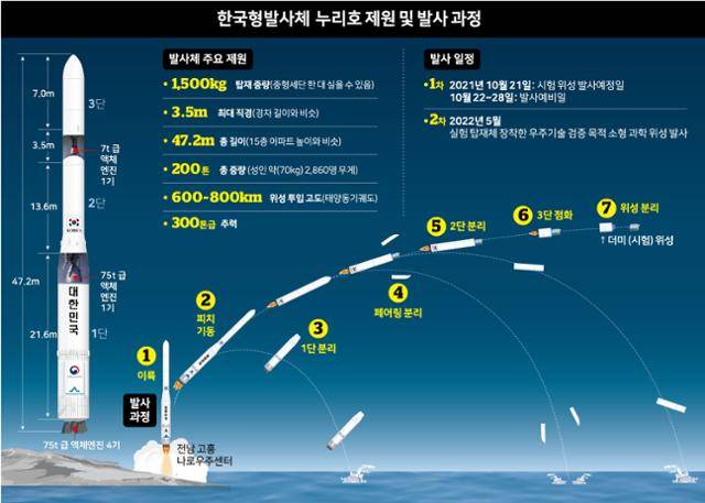 그래픽=강준구 기자