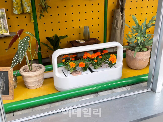 LG 틔운에서 키운 식물을 옮겨 심어 감상할 수 있는 액세서리 개념의 제품 ‘틔운 미니’.(사진=신중섭 기자)