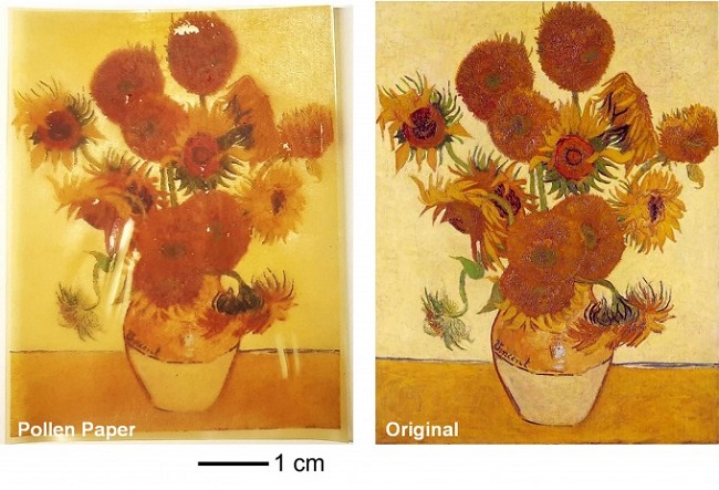 꽃가루 종이에 인쇄한 고흐의 해바라기 그림(왼쪽)과 일반 종이에 인쇄한 그림. <조남준 교수>