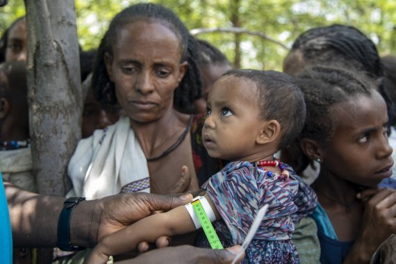 [티그라이( 에티오피아)= AP/뉴시스] 에티오피아 티그라이 지역의 굶주린 어린이와 노인들이 지난 7월 유엔 구호요원들의 진찰을 받고 있는 모습.