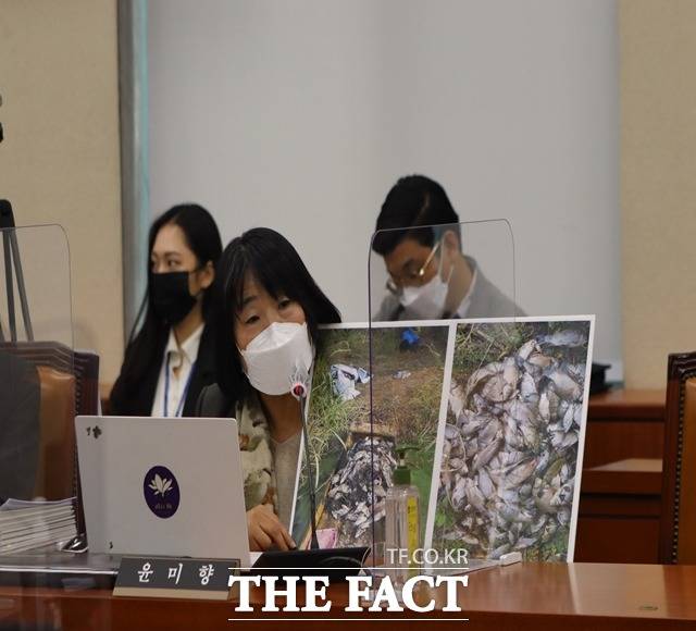 윤미향 국회의원(비례의원)이 18일 환경부산하기관 국정감사에서 창녕 우포늪 붕어 집단폐사와 관련해 정확한 원인 조사를 요구하고 있다./국회 환경노동위원회 제공