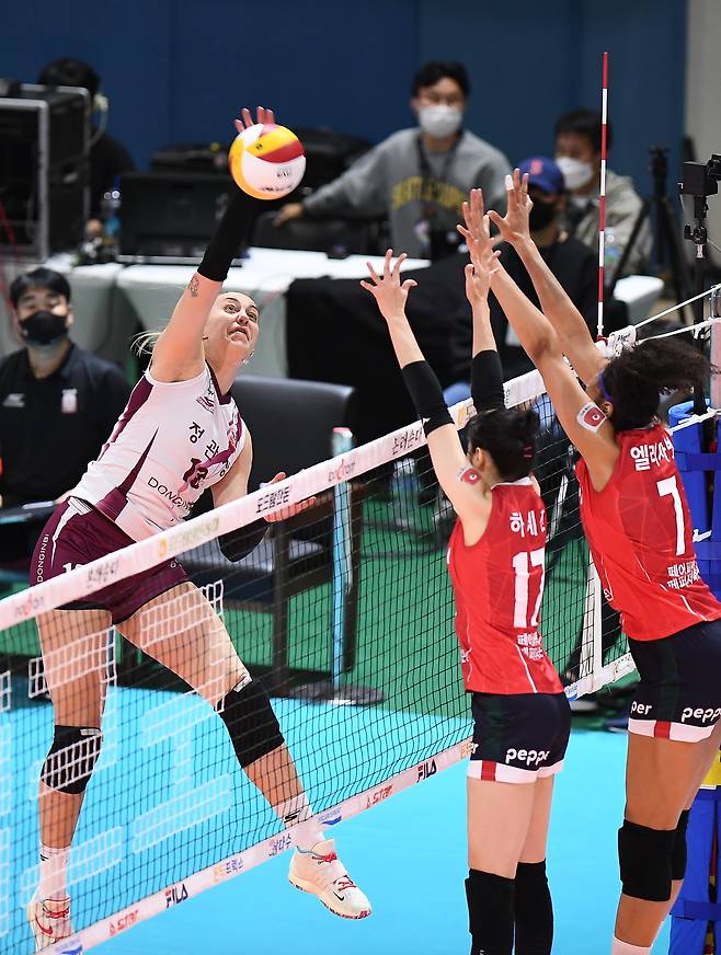 AI페퍼스와 KGC인삼공사의 경기 모습(KOVO제공)© 뉴스1