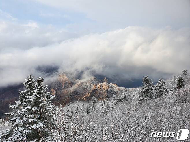 눈으로 뒤덮힌 설악산.(설악산국립공원사무소 제공) 2021.10.20/뉴스1