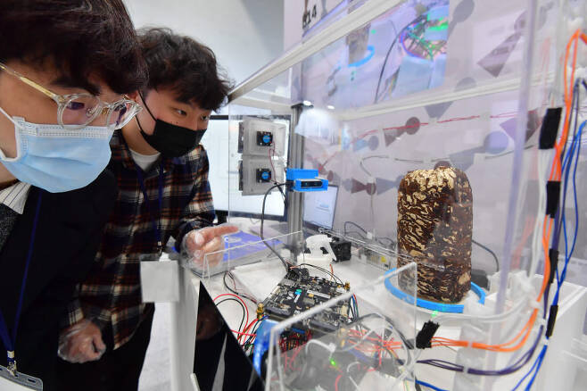 영진전문대 부스에서 관람객이 AI 기반 가정용 표고버섯 재배기를 살펴보고 있다.