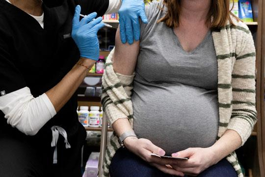 임신부가 신종 코로나바이러스 감염증(코로나19) 예방 접종 시 처음에는 다른 여성들보다 항체가 덜 생긴다는 연구결과가 나왔다고 19일(현지시간) 블룸버그 통신이 보도했다. /로이터연합뉴스