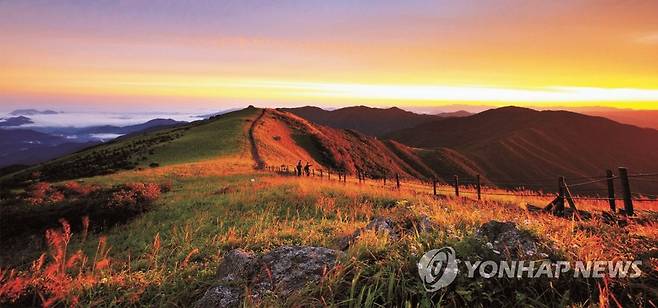 소백산의 가을 연합뉴스 자료사진