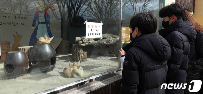 전북 전주동물원(사진은 기사 내용과 무관함) / 뉴스1 © News1