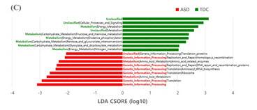 C. ASD 환자와 정상발달대조군(TDC)의 장내 미생물 기능 분석 그림.