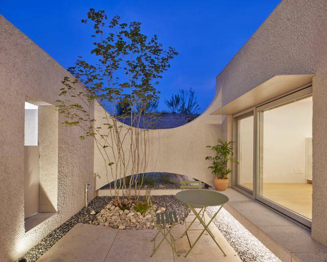 집의 남쪽에 위치한 중정은 고양이들의 공간이기도 한 만큼, 식물을 최소화한 채로 가급적 비워 둔다. 담장의 곡선과 산단풍은 중정의 풍경을 다채롭게 한다. 노경 건축사진작가 제공