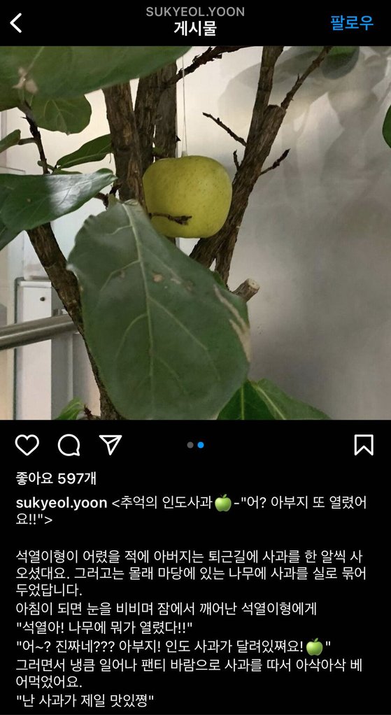 윤석열 전 총장의 인스타그램에 올라온 먹는 사과 사진. [인스타그램 캡처]