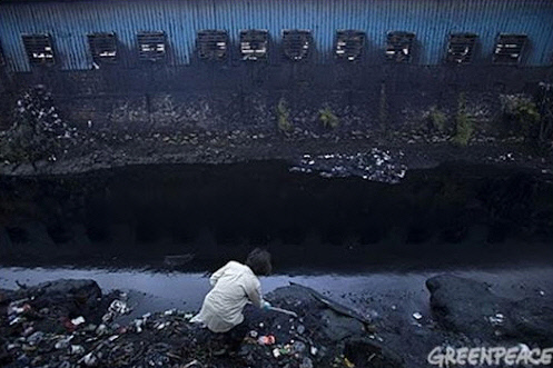 그린피스 운동가 한 명이 청바지 등 의류 염색 공장이 밀집한 중국 신탕 다둔마을 인근의 오염된 강에서 물 샘플을 채취하고 있다. 그린피스 홈페이지