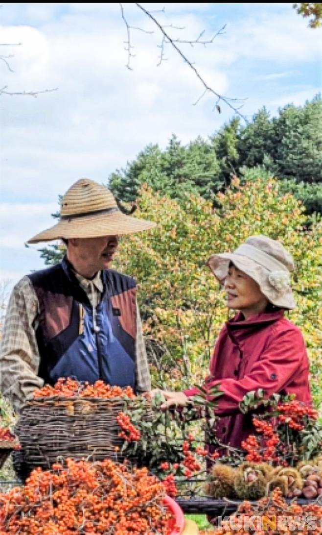 강원 횡성 '안나의 뜰'.