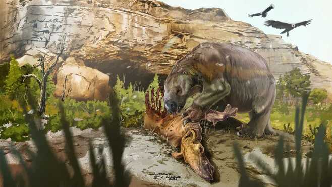 남미의 거대한 고대 나무늘보가 죽은 동물을 먹고 있는 모습을 나타낸 상상도.(사진=호르헤 블랑코)