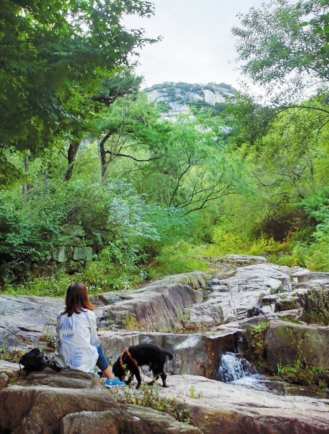 비가 갠 후 너럭바위에 앉아 인왕산을 보며 물소리를 감상하고 있는 동네 주민. 인왕산 자락에 사는 서촌 사람들에게 인왕산은 그 자체로 힐링과 위로의 공간이다. / 양수열 영상미디어 기자