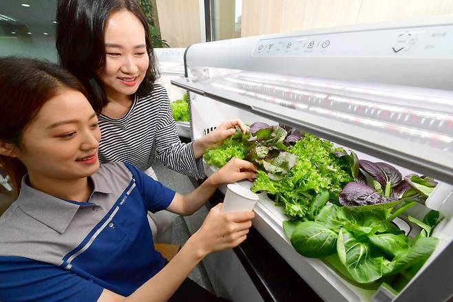 서울 중구 교원웰스 쇼룸에서 직원들이 식물재배기인 웰스팜을 시연하고 있다. (사진: 전자신문 DB)