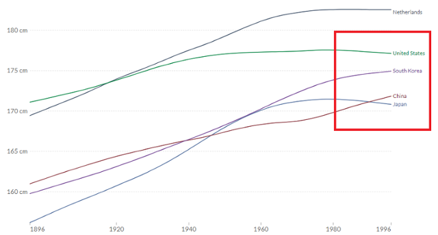 1896~1996년 100년간 네덜란드(오른쪽 위 곡선부터), 미국, 한국, 일본, 중국 남성 평균 키 변화. 가장 최근 수치인 빨간색 네모 안을 보면 미국의 곡선(녹색)은 증가세가 꺾여 오히려 키가 줄어든 반면, 중국(갈색)과 한국(보라색)은 상승세가 가파르다. 2019년 중국은 한국마저 제쳤다. 'Our world in data' 캡처