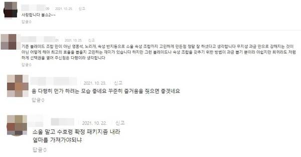 사진=NC소프트 공식 홈페이지, 호평 일색인 이용자들의 댓글