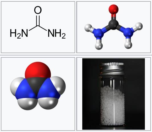 요소수가 뜨거운 배기가스에 분사되면 요소가 암모니아(NH3)로 분해된다. 배기가스에 포함된 일산화질소(NO)와 이산화질소(NO2)는 암모니아와 반응해 환경에 무해한 질소분자(N2)로 바뀐다. 이 반응이 잘 일어나려면 촉매가 필요하다. 위키피디아 제공