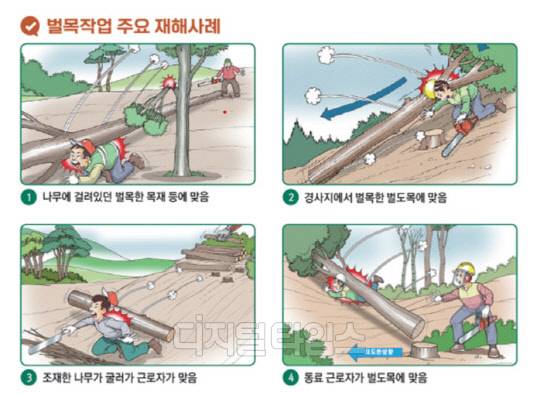 21일 고용노동부와 산림청, 한국산업안전보건공단은 겨울철 벌목현장에 불시 패트롤점검을 12월까지 실시한다고 밝혔다. 겨울철 벌목 작업 중 벌도목에 의해 근로자가 사망하는 사례 예시 <자료=고용노동부>