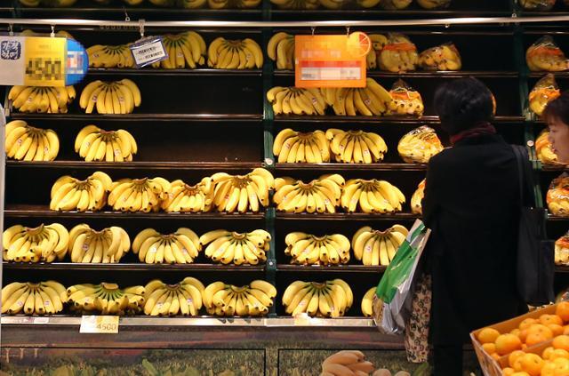 대형마트에 진열된 수입 바나나. 연합뉴스