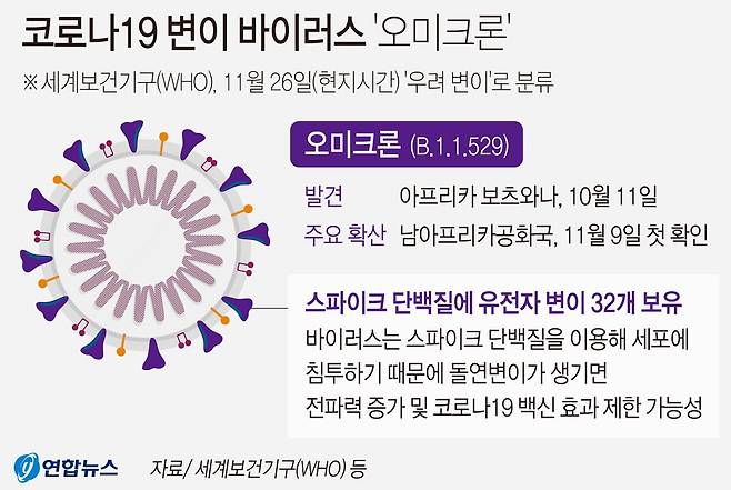 코로나19 변이 바이러스 ‘오미크론’. [연합뉴스]