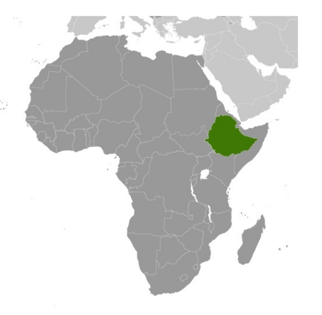 에티오피아는 아프리카 동북 지역에서 오른쪽으로 툭 튀어 나온 이른바 ‘아프리카의 뿔’ 지역에 위치하고 있다.  (그래픽 출처 CIA 팩트북)