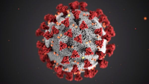 코로나바이러스의 입체 모델. 표면의 스파이크(돌기, 붉은색) 단백질을 호흡기 세포에 결합시켜 침투한다./미 CDC