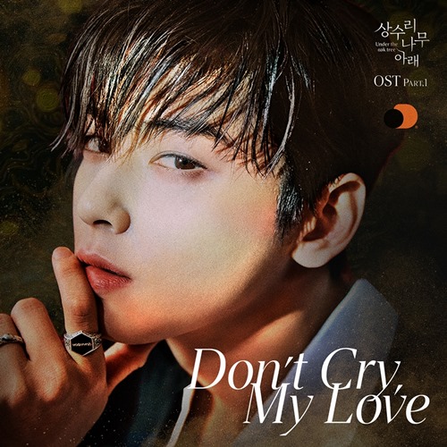 차은우 OST ‘Don’t Cry, My Love (돈 크라이, 마이 러브)’ 사진=오렌지디멘션