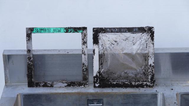 지난달 17일 울산 한국화학연구원 바이오화학연구센터 옥상에서 생분해 비닐 분해 실험이 진행되고 있다. 석유계 비닐(오른쪽)과 달리 생분해성 비닐(왼쪽)은 모두 사라졌다. 울산=현유리 PD