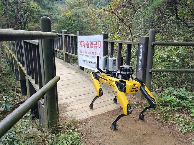 [세종=뉴시스] 치악산국립공원 고정밀지도 제작에 이용된 로봇 '스팟'(SPOT)의 모습. (사진=국립공원공단 제공). 2021.12.01. photo@newsis.com *재판매 및 DB 금지