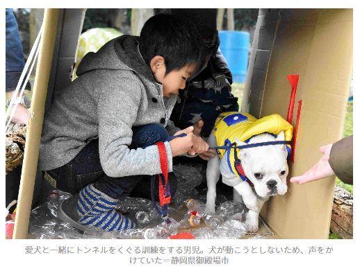 일본 시즈오카현에서 재해 발생 시를 가정해 소년이 반려견과 대피 훈련을 하는 모습. 아사히 시포 캡처
