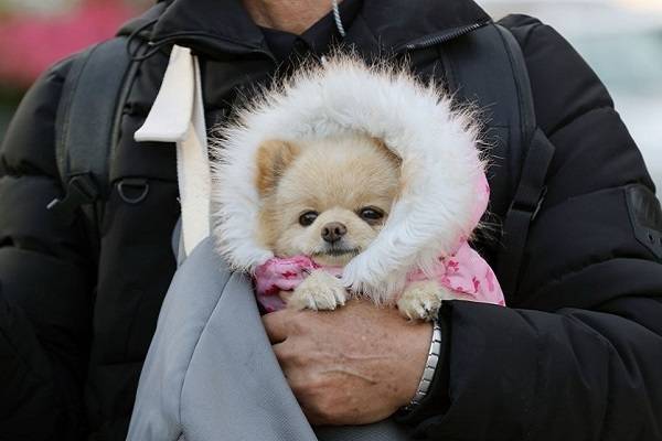 사진 = 연합뉴스