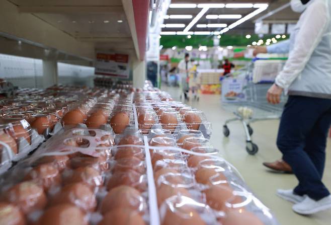 서울의 한 마트에서 소비자들이 달걀을 고르고 있다. (사진=연합뉴스)