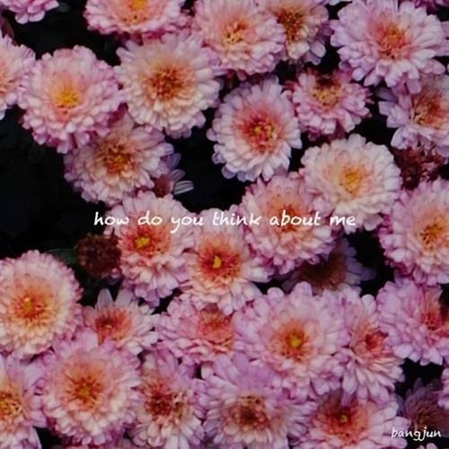 사진=㈜일공이팔, 파이하이㈜